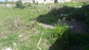 Title Plot of Land for Sale at Ofankor for Cool 450,000