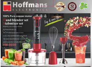 Every Home Must Have 4in1 Hand Blender Pure Copper Motor