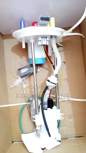 10547. Ford. Original Ford F150 Complete Fuel Pump From USA