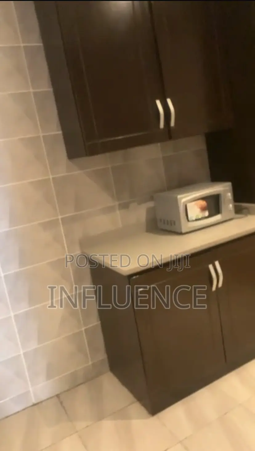 Furnished 1bdrm Apartment in Accra Mall Area, East Legon for rent