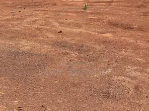 2 Plots of Land for Sale in Wood Village Near Zoomlion