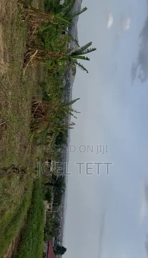 Nii Okuley Apesor 3
