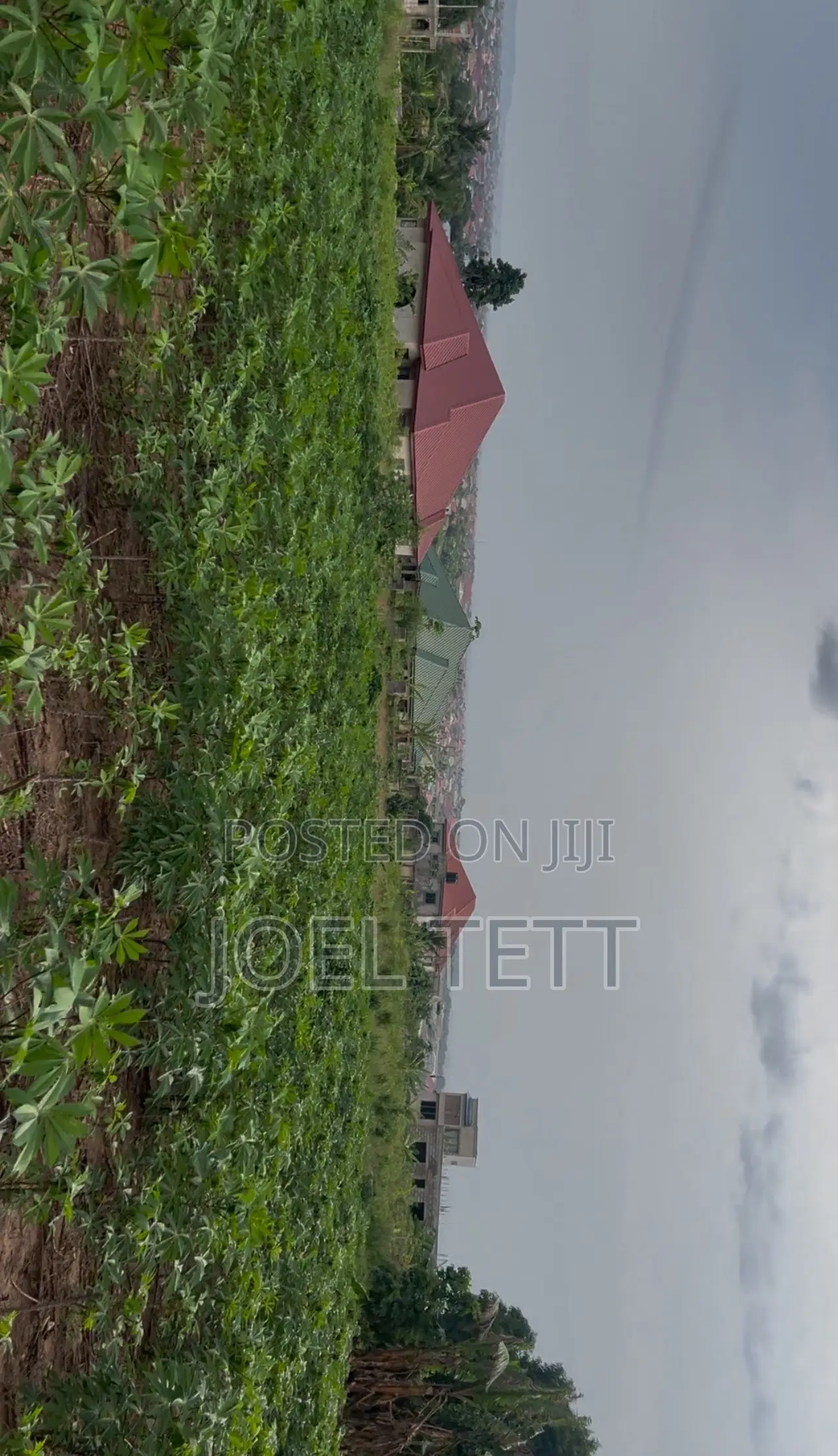 Nii Okuley Apesor 3