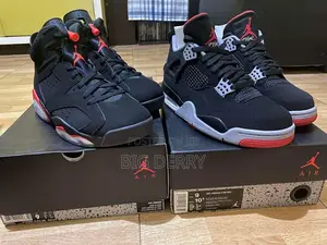 Air Jordan 6 Bred