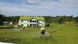 Schools Fumigation and Bedbugs Control With Cleantex
