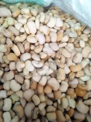 Nigerian Original Honey (Oloyin)Beans