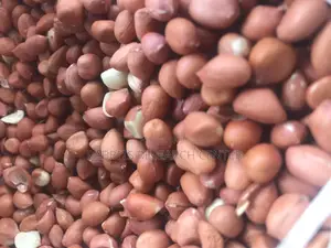 Fresh And Roasted Groundnut (100kg)