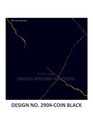 Polished Blacko 60/60 Floor Tiles