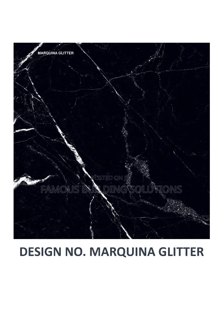 Polished Blacko 60/60 Floor Tiles