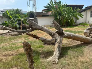 0.21 Acre Land for Sale at Osu Ring Road Estate
