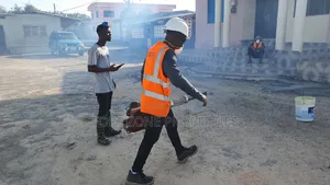 Axim Fumigation Services With Cleantex