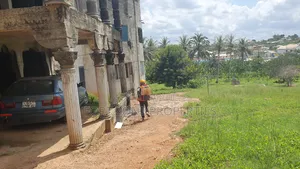Axim Fumigation Services With Cleantex