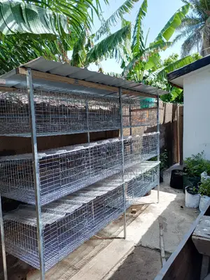 12 Unit Cage