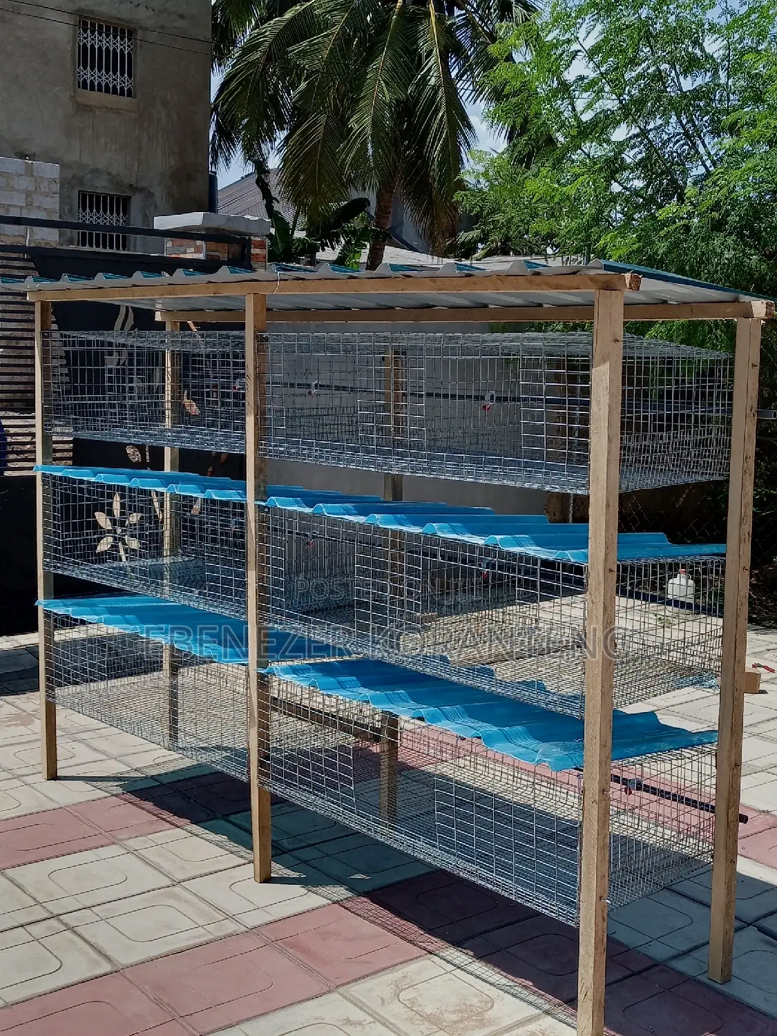 12 Unit Cage