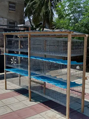12 Unit Cage