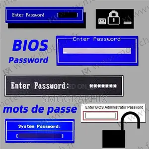 Bios Removal
