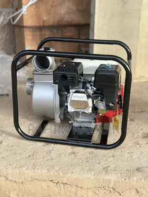 Person Wp30x Water Pump.