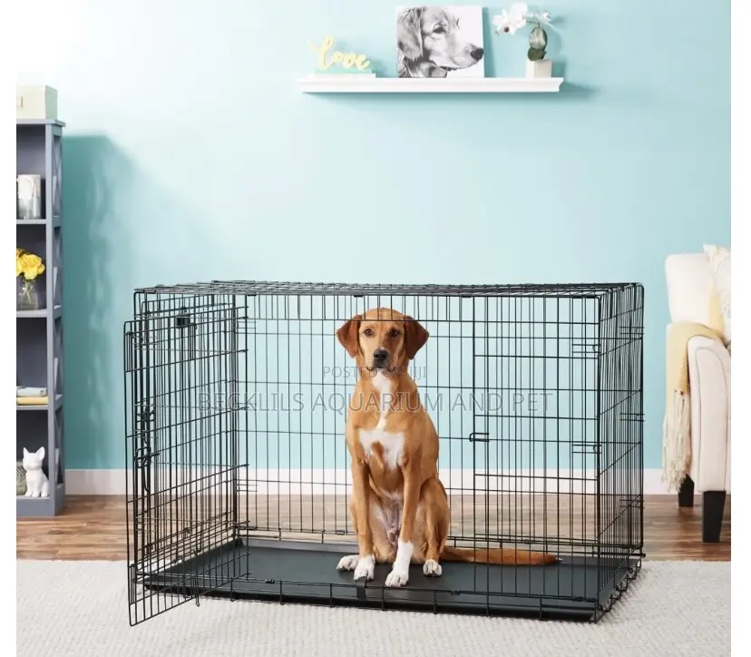 XXXXXL in and Outdoor Metallic Dog Cage (48 Inches)