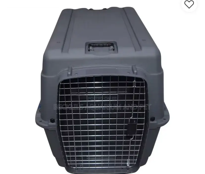 XXXL Bobbi Plastic Flight Cage