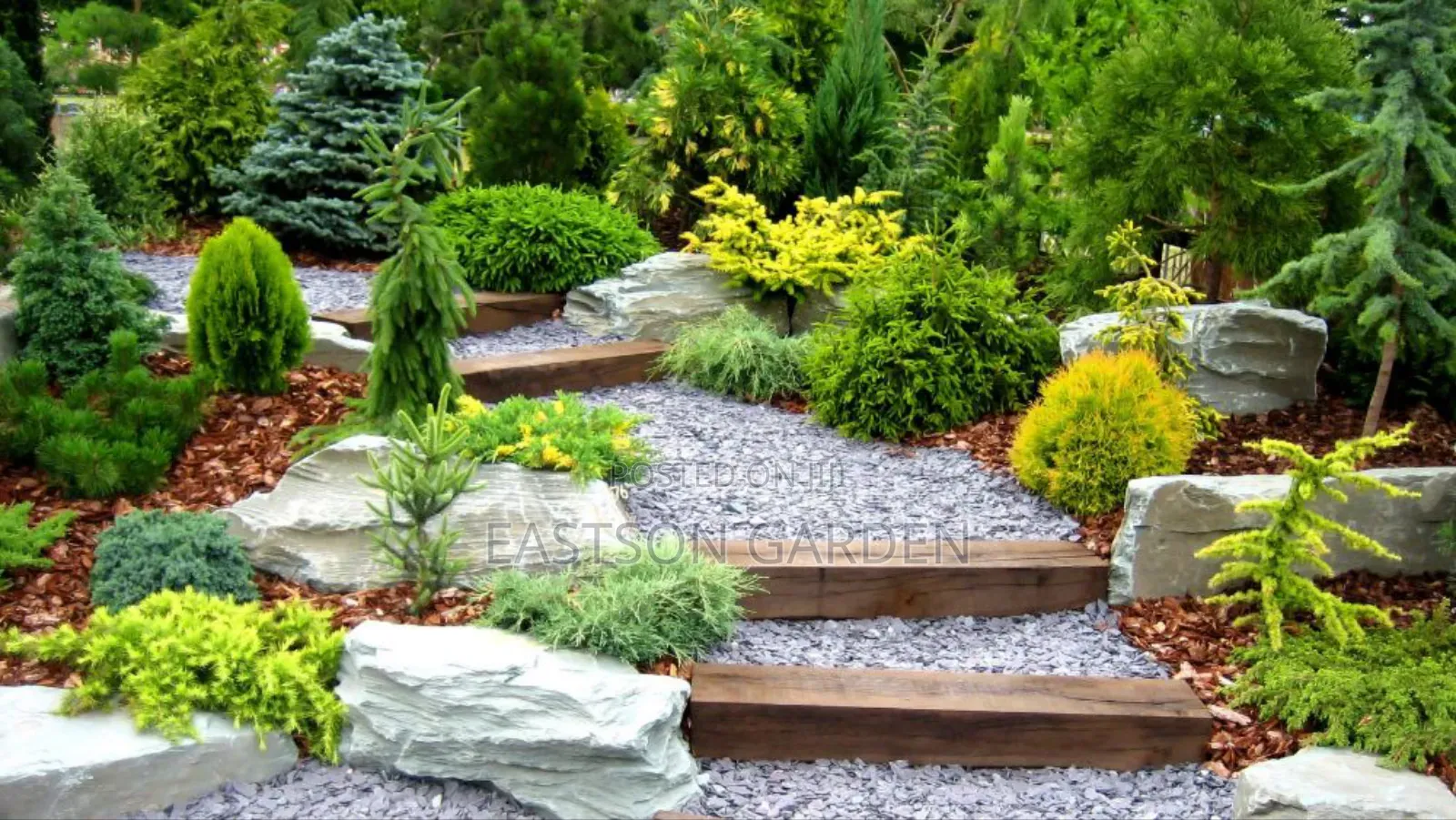 Professional Gardening Landscaping Services