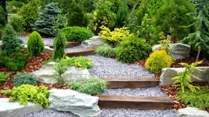 Professional Gardening Landscaping Services