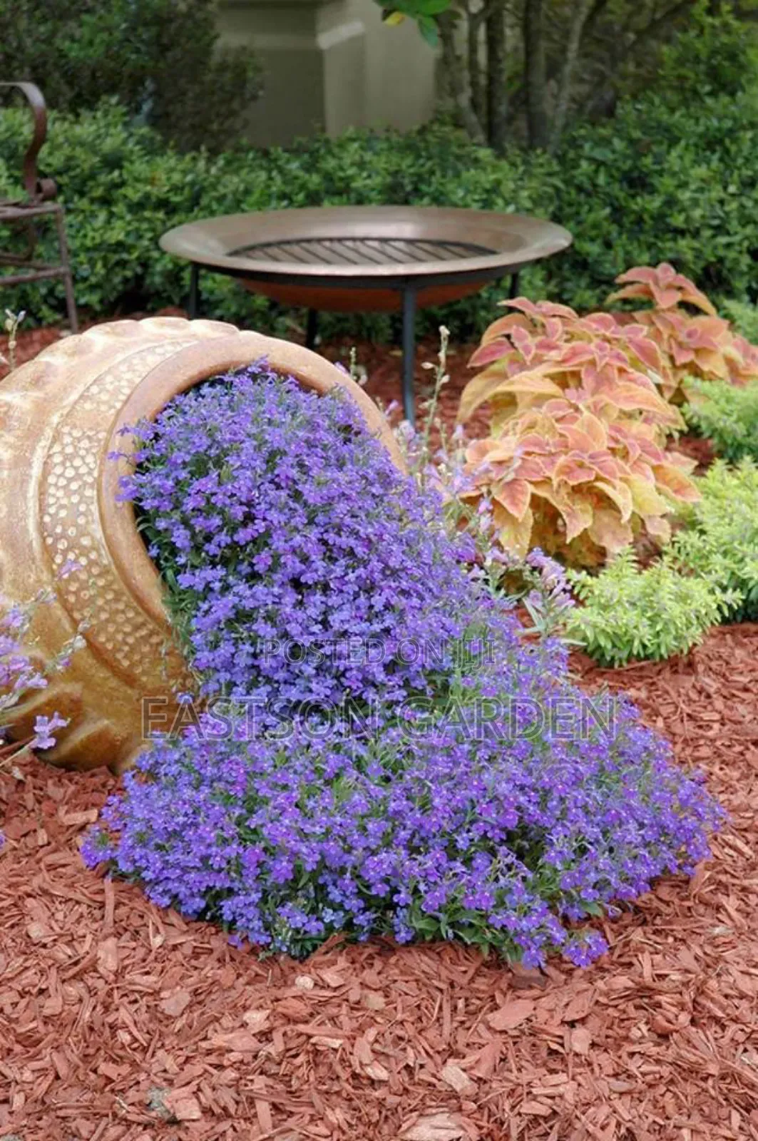 Professional Gardening Landscaping Services