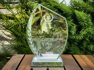 Customised Crystal Award
