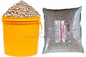 Fio Fio (Pigeon Peas)