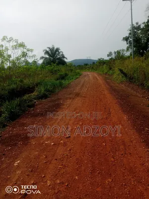 6000 Acres Available for Long Term Lease