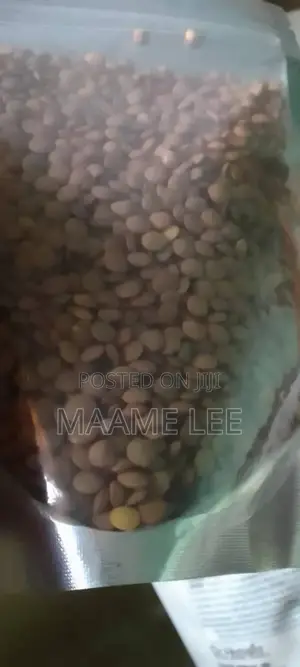 Organic Green Lentil