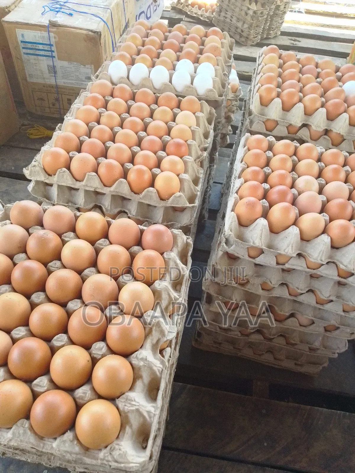 Fresh Eggs From Miracle Farm