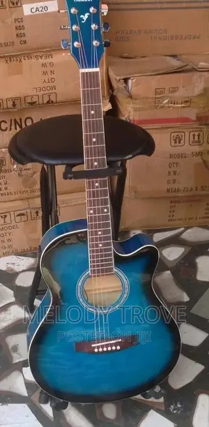 Acoustic Guitar for Sale