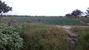 Farm Lands For Long Lease And Sale