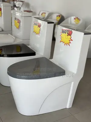 Combined Water Closet - Water Closet