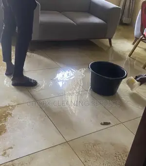 Floor and Tiles Cleaning