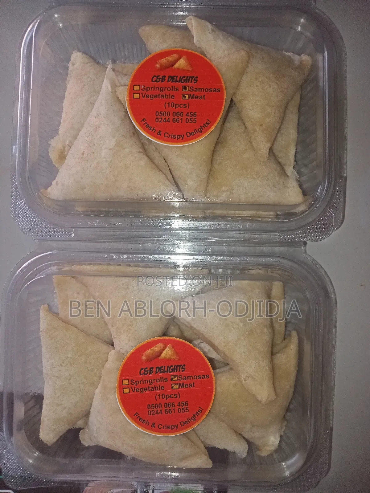 Spring Rolls and Samosas