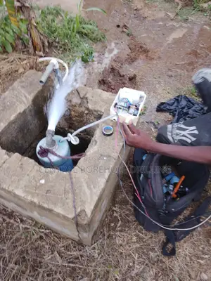 Tema Old Borehole Repairs