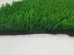 Artificial Grass for Rent and Sale