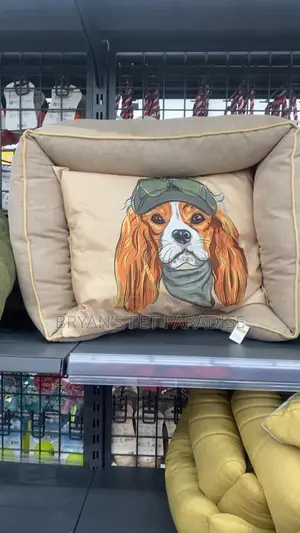 Bed for Pets