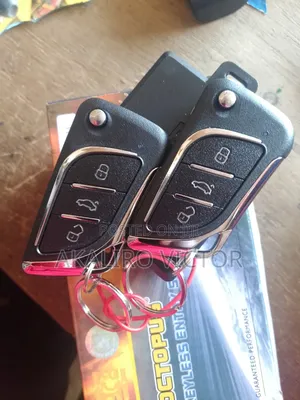 Octopus Keyless Entry System With Flipping Key