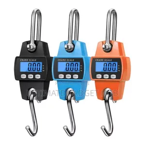 Mini Crane Scale