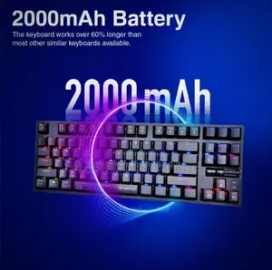 Vertux Gaming Keyboard (Vertupro-80)