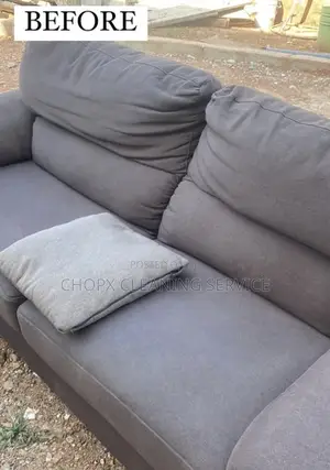 Deep Sofa Carpet Cleaning With Stain and Odor Elimination