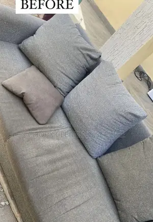 Deep Sofa Carpet Cleaning With Stain and Odor Elimination