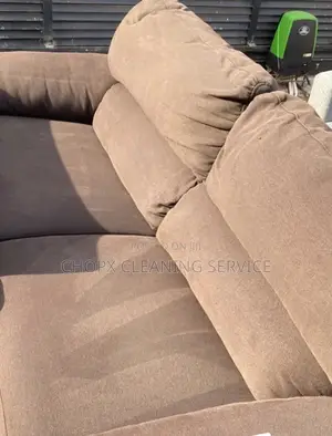 Deep Sofa Carpet Cleaning With Stain and Odor Elimination