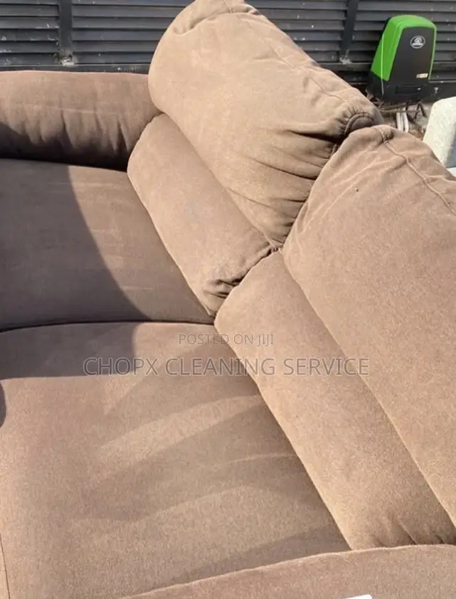 Deep Sofa Carpet Cleaning With Stain and Odor Elimination