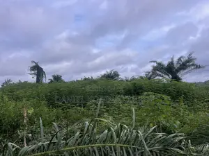 Lands for Sale