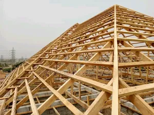 Are You Looking for a Professional Carpenter