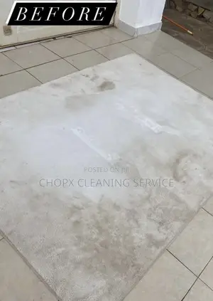 Deep Carpet Cleaning You Can Trust