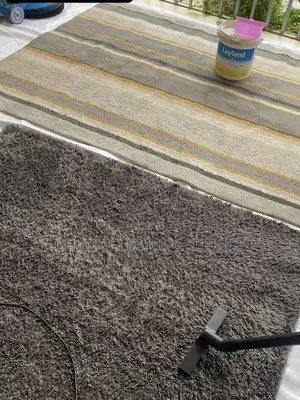 Clean Carpet, Clean Life!